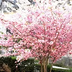 Boutique Saint-louis Hotel Lisieux